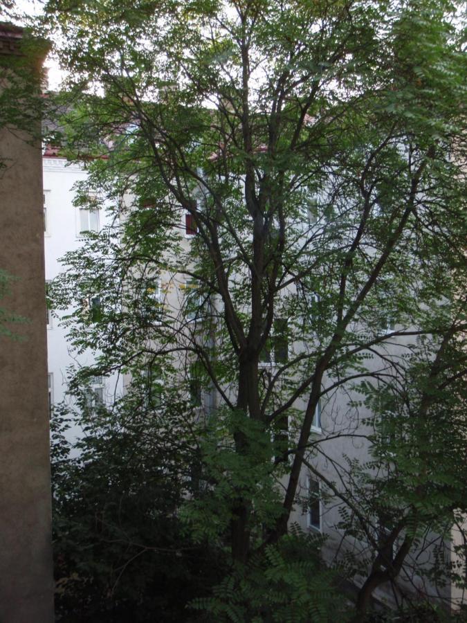 Appartamento Augartenblick Penthaus 16 Vienna Esterno foto